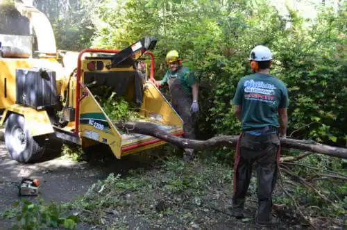 tree services Wauchula